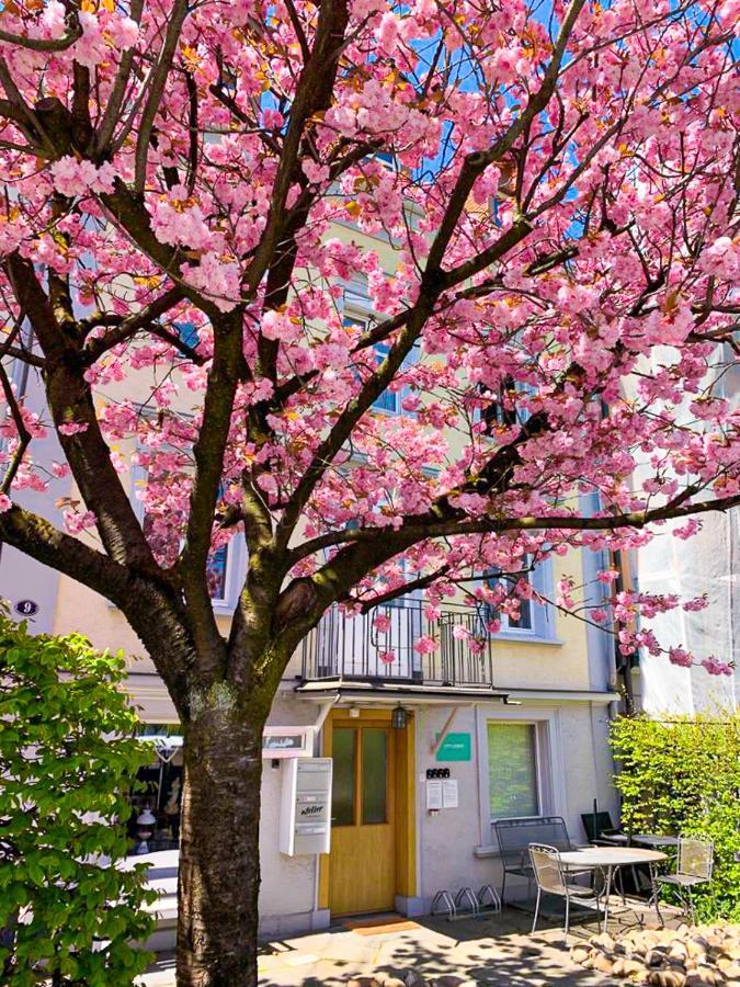 Citylodge St Gallen - 2 Min To Marktplatz St. Gallen Eksteriør bilde